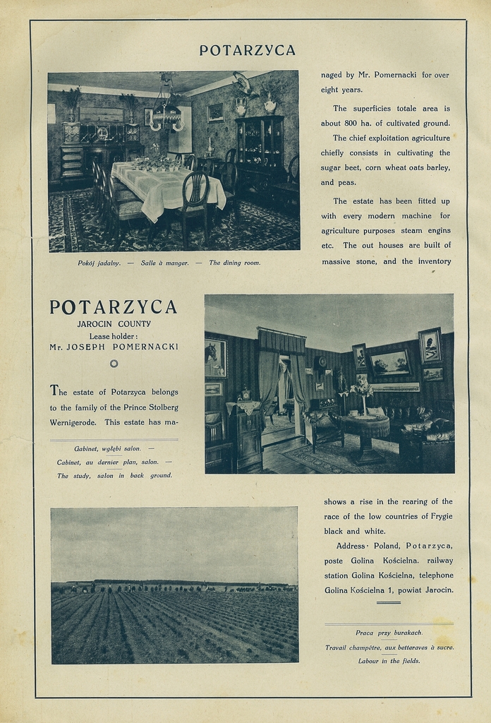 155 potarzyca.jpg